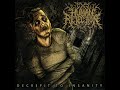 Human Rejection - Decrepit To Insanity