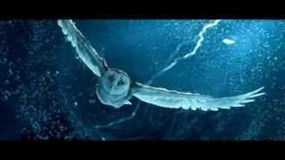 Fly Inside! ~ Soren Storm Scene ! Legend of the Guardians