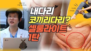 [해독남] 내 다리 코끼리다리? 셀룰라이트 1탄