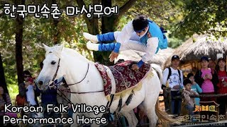 한국민속촌 마상무예 (Korean Folk Village Performance Horse)