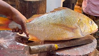 Amazing Fish Cutting Skills | Big Snapper Fish Cutting Skills In Fish Market