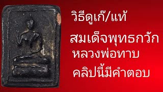 หลวงพ่อทาบ, วิธีดูสมเด็จพุทธกวักหลวงพ่อทาบแบบพื้นฐานดูจบสามารถจับเองได้