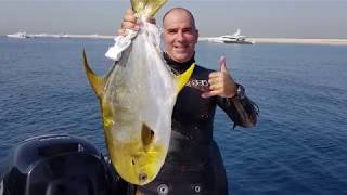 Spearfishing ...  Dubai - 19 April 2019 -  Rig \u0026 Moon Island