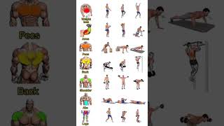 weight lose, arms, pecs, back, shoulder, abs full body workout #ytshorts