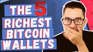 These Are The 5 Richest Bitcoin Addresses... | Crypto Corner ep469