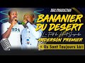 bananier du desert feat anderson premier