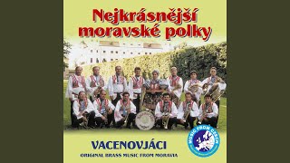 Vstupní polka