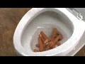 Super Toilet Can Flush Anything Super Toilet Can Flush Anything