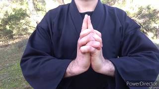 甲賀流 忍術 * 九字印 Koga Ryu Ninjutsu / Kuji-in, Nine Seals Mudras *Ninjaların Dokuz Hece Mührü Meditasyonu