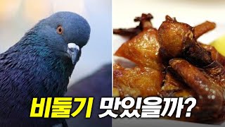 What do pigeons taste like?