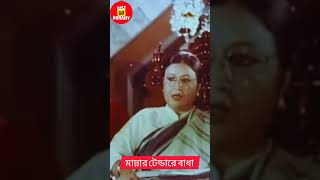 মান্নার টেন্ডারে বাধা