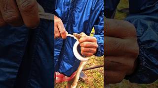 🐍saap ne kaat liya 🥵||#shorts #viral #vlog #trip #villagelife #vibes  #horrorshorts