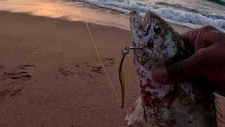 OFFROAD4LIFE, Fishing in Isipingo for Garrick and Kingfish