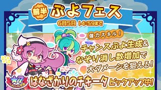 ぷよクエ ぷよフェス はなざかりのチキータ狙ってみた