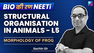 Structural Organisation in Animals Class 11 Biology - Morphology of Frog | NEET 2023 | Sachin Sir