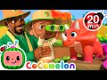 Cody Walks With Dinosaur's | It's Cody Time Nursery Rhymes | Celebrating Diversity