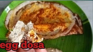 ఎగ్ దోశ చేయడం ఎలా || how to make egg dosa at home in telugu || busy house wife