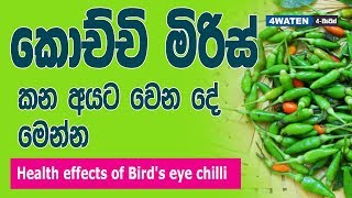 කොච්චි මිරිස් කෑවොත් වෙන දේ මෙන්න : Benefits of bird's eye chilli