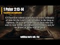 1 peter 2 13 14 explained how should christians respond to unjust rulers