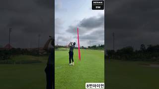 8번 아이언 핀빨 💯💯💯 #golf #아이언 #골프스윙