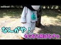 【みやざき犬】かぁセミ 20150809