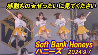 【感動します★絶対に見てください★福岡ソフトバンク honeys ハニーズ★cheer dance★可愛すぎるダンス★2024.9.7】