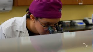 STISD | Career \u0026 Technical Education: Biomedical Science Program at Medical Professions