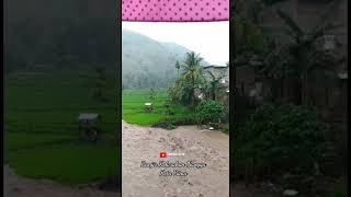 Banjir Kel.Nungga Kota Bima