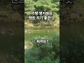 가평 명지계곡 텐트 치는 곳 valley