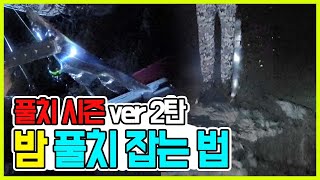 풀치 시즌 ver.2탄 밤 풀치 갈치 잡는법