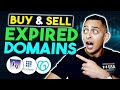 Domain Flipping EXPLAINED - How To Buy And Sell EXPIRED Domains (Make $1000 per Month)