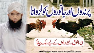 Parindo Or Janwaron Ki Larai Karwana | Making Animals And birds fight | M Aamir Akhtar Naqshbandi