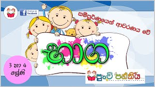 භාග | Fractions | 3 හා 4 ශ්‍රේණිවලට අදාලව සම්පූර්ණ පාඩම