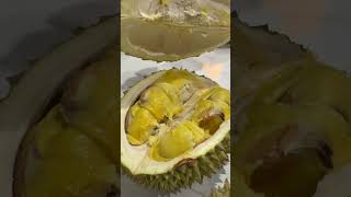 PART 1 ⁉️ PACKING DURIAN MUSANG KING #durian #musangking #masduren