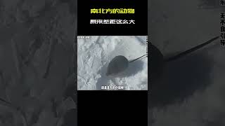 原来南北方动物的差距居然这么大，真是开了眼了