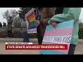 TN Senate advances bill to ban children’s transgender therapy in the state