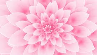 咲き続ける桃色の花　CG動画　blenderpink flower