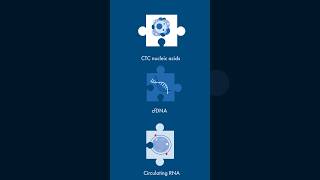 How to extract multianalytes from liquid biopsies?