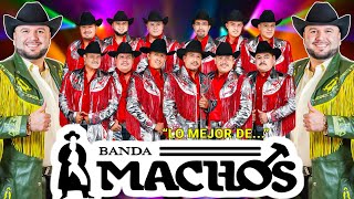 ✅ Banda Machos Corridos y Rancheras Mix 2025 || Banda Machos Viejitas Pero Bonitas ✅