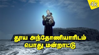 தூய அந்தோணியாரை நோக்கிப் பொது மன்றாட்டு | 4K VIDEO