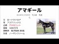 【サトノレイナスの半妹】まだデビューしていないサンデーレーシングの有力馬　兄や姉に活躍馬