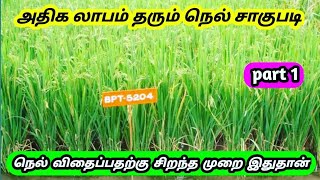 How to make rise || Nel vivasayam seivathu eppadi || நெல் விவசாயம்  #mysteryofvillage