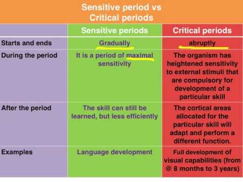 Critical Period (Psychology)