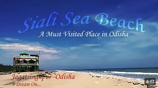 ଶିଆଳି ସମୁଦ୍ର କୂଳେ କୂଳେ ମଜା ମସ୍ତି || Siali Sea Beach || Jagatsingpur || Odisha #Ajit1