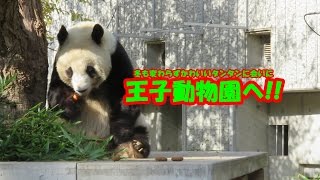 冬も変わらずかわいいタンタンに会いに、王子動物園へ!!