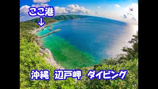 沖縄本島最北端　辺戸岬でダイビング！！