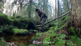 Sari, saukko ja sammakko - riistakameran tarkastus - Inspection of the Finnish nature camera