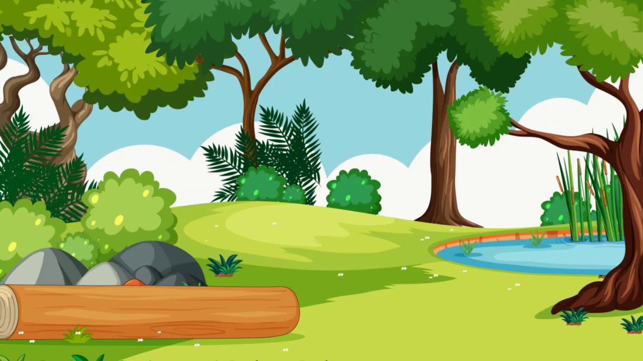 Background / Floresta / Infantil - YouTube