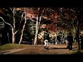 【超綺麗】2016.10.22　青森県黒石市　中野もみじ山紅葉ライトアップ光のイルミネーション