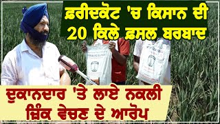 Faridkot में किसान की 20 किले फसल बर्बाद, दुकानदार पर नकली Zinc बेचने के आरोप